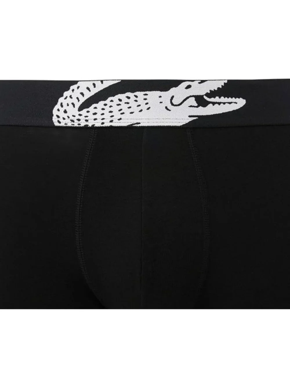 Lacoste men big